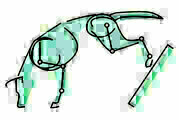 Canine Conditioning Coach